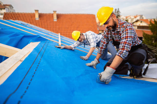 Reliable Burkesville, KY Roof Repair & Installaion Solutions